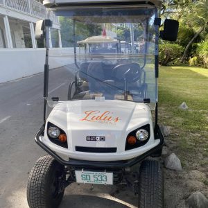 4 Seater Standard Golf Cart