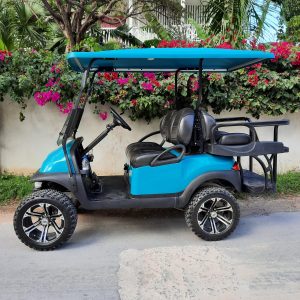 4 Seater Luxury Golf Cart