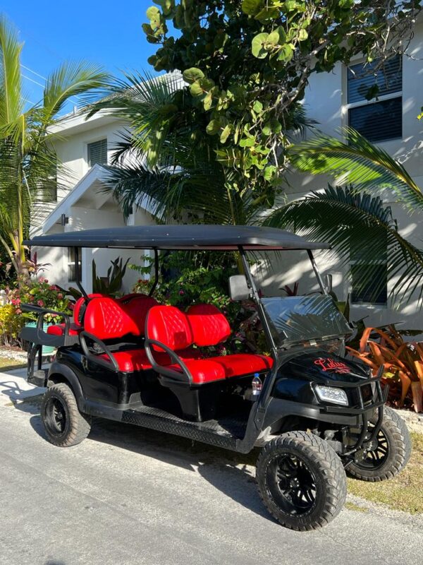 Curated visual reference: Visual Reference: 6 Seater Luxury Golf Cart Lulu S Golf Cart Rentals