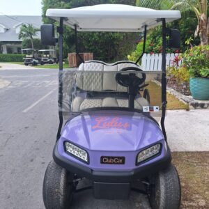 4 Seater Luxury Standard Golf Cart