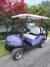 4 Seater Luxury Standard Golf Cart
