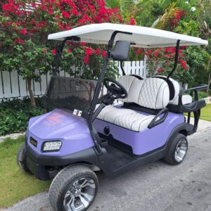 4 Seater Luxury Standard Golf Cart